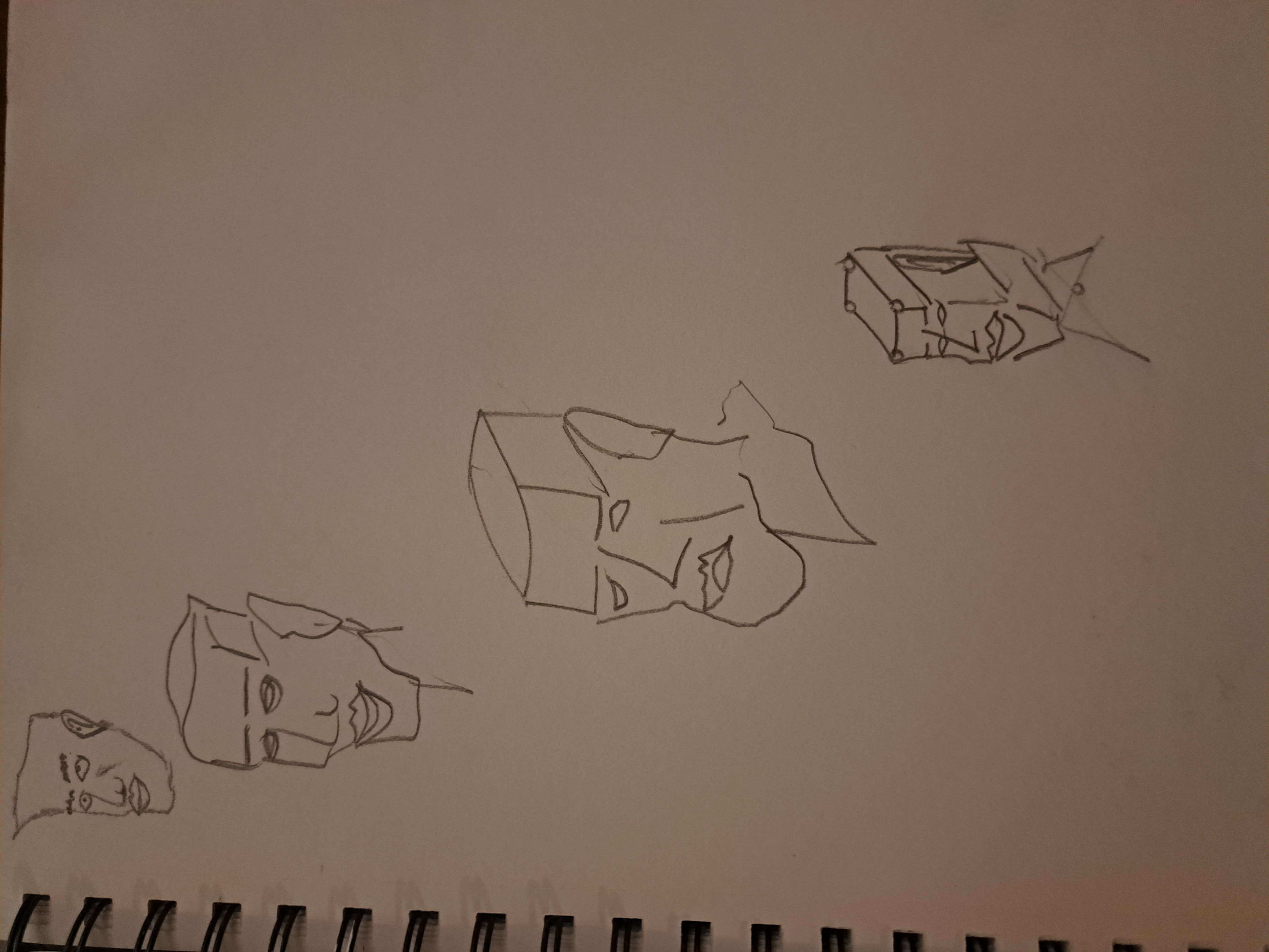 Champ de lavande en fleurs